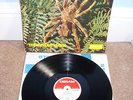 THE WEB Theraphosa Blondi LP 1969 UK 1st Press  STEREO DERAM SMLR 1058
