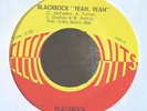 RARE Funk / Psych 45-Blackrock-Yeah Yeah / Bad Cloud Overhead-Select O Hits-NICE
