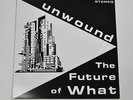 UNWOUND The Future of What LP KILL ROCK STARS Karp Fugazi OG 1995 Indie Shellac