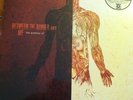 Between The Buried And Me The Anatomy Of 12