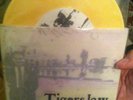 Tigers Jaw 