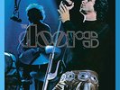 The Doors , Absolutely Live ( 2 LP_180 Gram Vinyl )