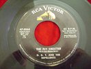 HEAR WILD INSTRO ROCKER / D.D.T. & THE REPELLENTS 