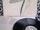 STRAWBS-DRAGONFLY -A&M AMLS 970 -ENGLAND- -DISCHI VINILE 33 GIRI 12