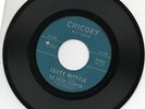 HEAR 1967 GaragePsychRock 45: THE HIGHER ELEVATION Diamond Mine / Crazy Bicycle