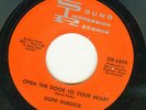 NORTHERN ORIGINAL  DONI BURDICK  OPEN THE DOOR TO YOUR HEART  SOUND IMPRESSION
