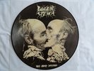 PUNGENT STENCH - Been ... PICTURE LP Nuclear Blast Records * INCUBUS Monstrosity