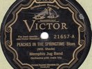 Victor 21657 MEMPHIS JUG BAND Peaches In The Springtime 1928 in EE-