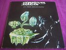 LP ITALIAN PROG NUOVA IDEA - IN THE BEGINNING - ORIGINALE