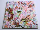 LIGHTNING BOLT EARTHLY DELIGHTS vinyl 2xLP double LP - with insert