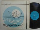 GREENWOOD CAN YOU FEEL THE WIND LP RARE PRIVATE PRESS XIAN FOLK SHRINK