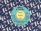 SHIRLEY WAHLS - Remember Martin Luther King  - BLUE CANDLE - 7