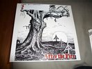 AFTER THE FIRE   lp    original press   Oi  skins       skinhead