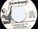 HEAR Shadows Of Knight-Someone Like Me M- 1967 IL non-LP punkadelic raver--RARE