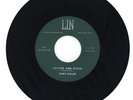 Jerry Fuller 1959 Lin 45rpm Lipstick and Rouge b/w Mother Goose At The Bandstand
