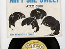 THE BEATLES  AIN`T SHE SWEET / NOBODYS CHILD,,PICTURE SLEEVE + 45RPM,,ATCO# 6308