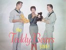 THE TEDDY BEARS -  THE TEDDY BEARS SING Phil Spector first band ORIG LP