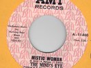 60S  PSYCH  GARAGE   MIND'S EYE   AMY 050  VG++ HEAR