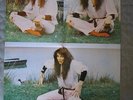 KATE BUSH -   TOUR POSTER - LAKESIDE
