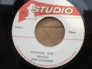GAYLADS - MORNING SUN // I'LL PRETEND / STUDIO ONE 45 RPM