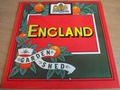 ENGLAND   GARDEN SHED ** 1977 UK 1st ARISTA. LP MINT