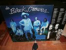 the black crowes