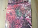 1xVinyl:LP/Maxi: Zior : Same , Global 6306 907