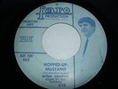 SURF HOT / HOT ROD-ARLEN SANDERS 