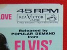Elvis 