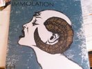 SDCC Limited Edition Jermaine Rogers Scion Immolation EP Vinyl Providence