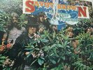 SAVOY BROWN A STEP FURTHER 1969 IN MINT 1ST PRESS RARE
