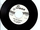 NORTHERN SOUL 45-THE 3 DEGREES-ARE YOU SATISFIED-SWAN-DJ COPY-LISTEN