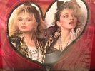 Madonna Into The Groove Rare UK Picture Disc