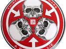 NEW 30 Seconds to Mars A Beautiful Lie LP Picture Disc pic FREE ship worldwide