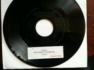 SMASHING PUMPKINS PERFECT.  JUKEBOX RELEASE ONLY NOT FOR RESALE