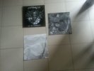 Shpongle VINYL Are You Shpongled