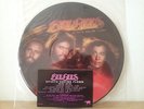 Bee Gees - Spirits Having Flown - US LP Picture Disc Excellent condition
