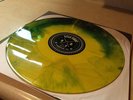 Title Fight Floral Green Floral LP /500 touche amore have heart backtrack