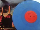 PINK FLOYD 'ANIMALS' LP MINT RARE BLUE MARBLED VINYL: MINT CONDITION