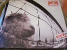 Pearl Jam VS Original 1993 HOLLAND 474549 LP Gatefold with Sticker FREE SHIP