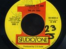 Jay Tees - Forward To Jah JA orig 7