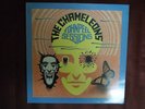 The Chameleons John Peel Sessions lp vinyl