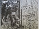 Sensational Prodigal Sons - No Sunshine LP - Richburg - Black Gospel SEALED MP3