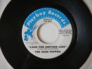 RARE Hush Puppies Look For A New Love ORIGINAL Playboy Records Paul Rubio