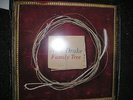 NICK DRAKE FAMILY TREE LP SUNBEAM DOUBLE LP NR MINT NUMBER 2 / 1000