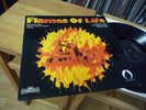 EULENSPYGEL FLAMES OF LIFE KRAUTROCK GERMAN ORIGINAL