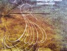 SON LOS GRILLOS LP Darkness to light new 500 only Fantastic Acid-Folk Listen