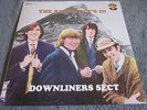 DOWNLINERS SECT - THE ROCK SECT´S IN - NEAR MINT - MONO
