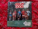Sealed HOLKER FAMILY BAND Feelin Good Private Press LP xian synth real people