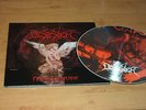 Desaster -  Angelwhore ( Rare PIC LP, NEW )
